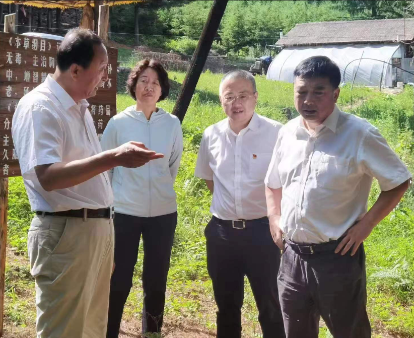 2022年7月18日,吉林省农科院院长马国成在县政府副县长温嘉伟陪同下来我“杉芝源”,调研指导工作。